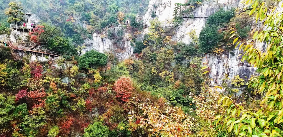 w27hMwz5oJEe7nHTyD94F2ck2bmCBRYa-QA_fdDyPhth7PpiQ2tP1siVzQXf-GAA