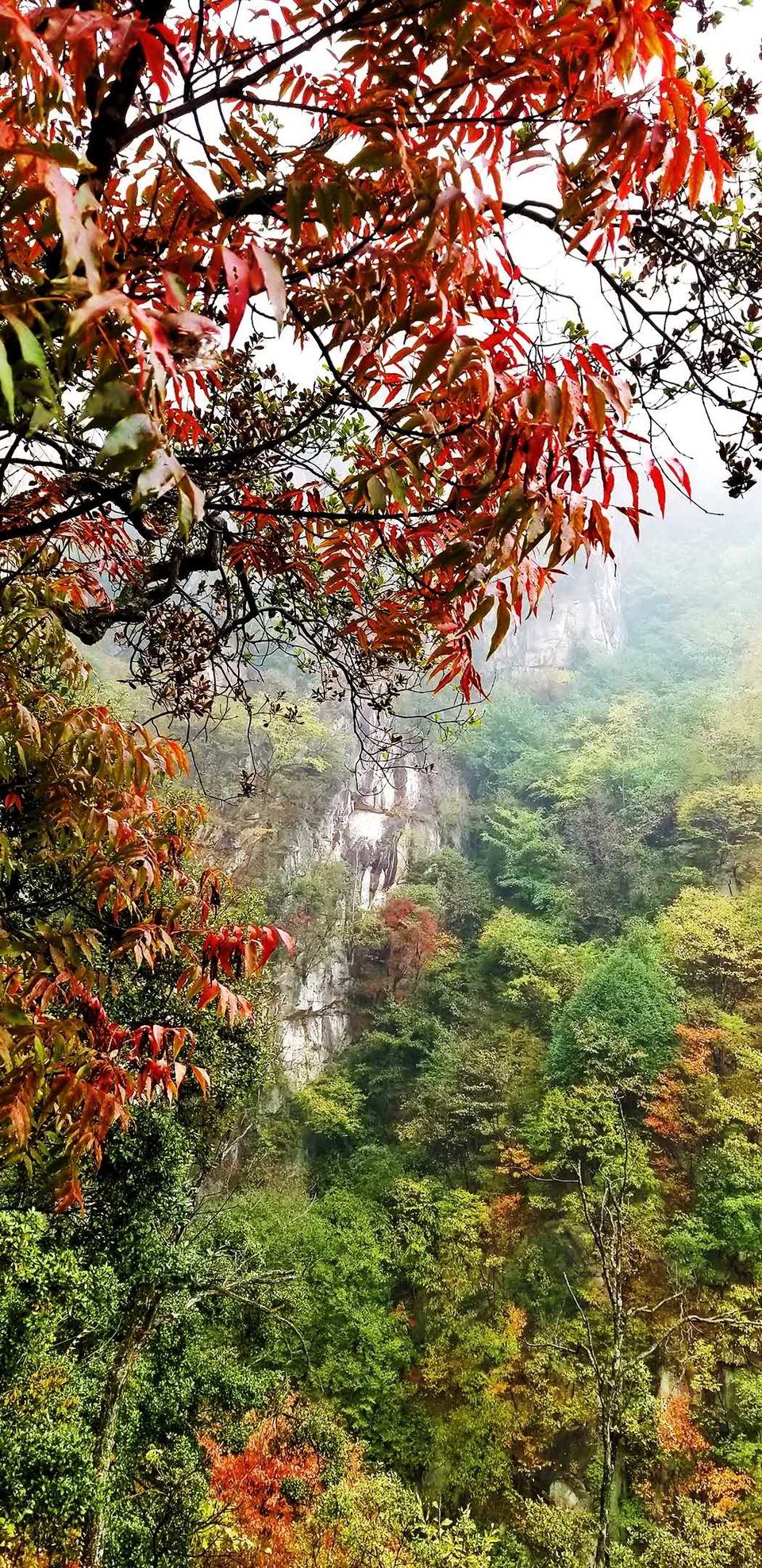 Cs9URvbsBOKao18H_IxuDGMZHV7wA3jIhmAH6wCSk3kclX6lW1vBFS3w2Y8R4jHA