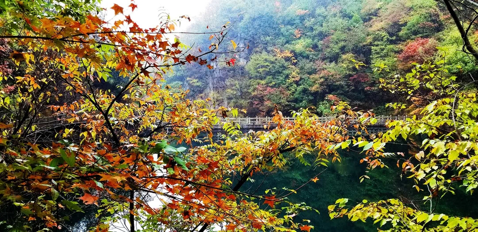 qymrd0mSV3XrRSkW6IcHZf9VEY8Cgwxmrlx6sfFBKPW3SCk-affQugq84RWNu3yy