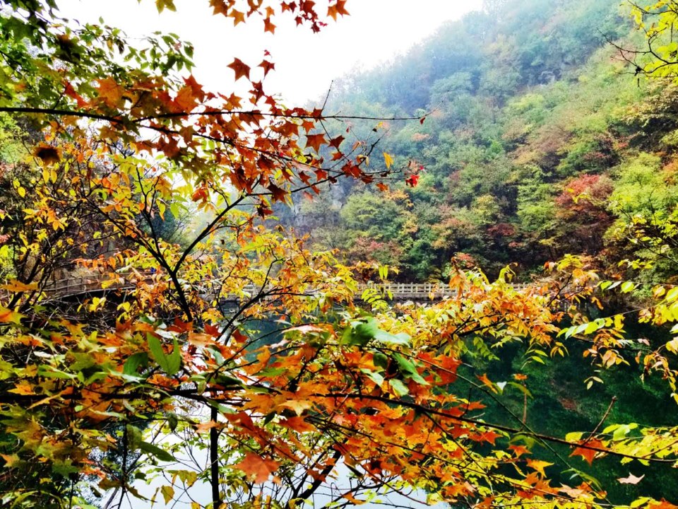 8CwQybuZ0RM6aw22ngj7ji79rGYAgrbYnnwWhyMdZLNyZmNDT3oCUOgs2XKUELqW