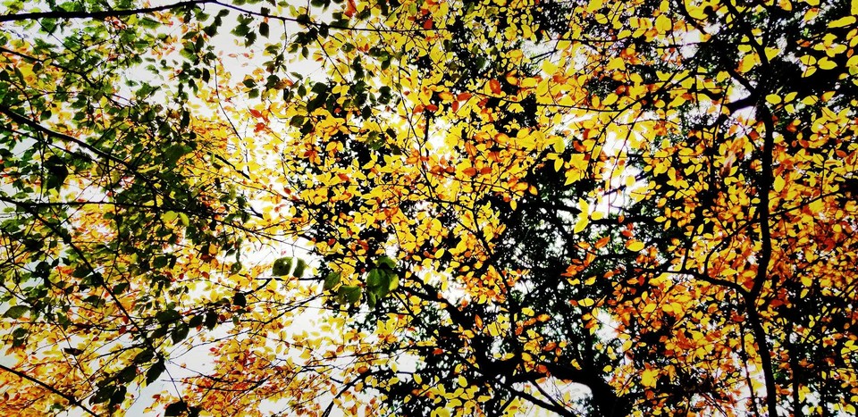 spBQQhDTPWMbDR_JT9VoqA2uD7M_98pmc-h6JtXAV6kpGMx8Cjh0-xi0ghffVV4o