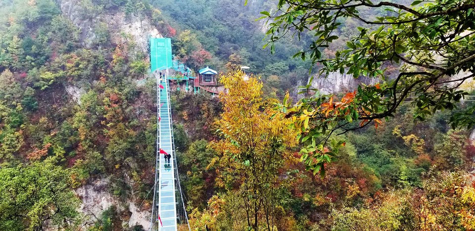 vRmVQAWL8G7scHxBERJ7FRviXl_c2LhGH5_Gsb3kApkpvGqTpxKK3DiKwZBxYLo5