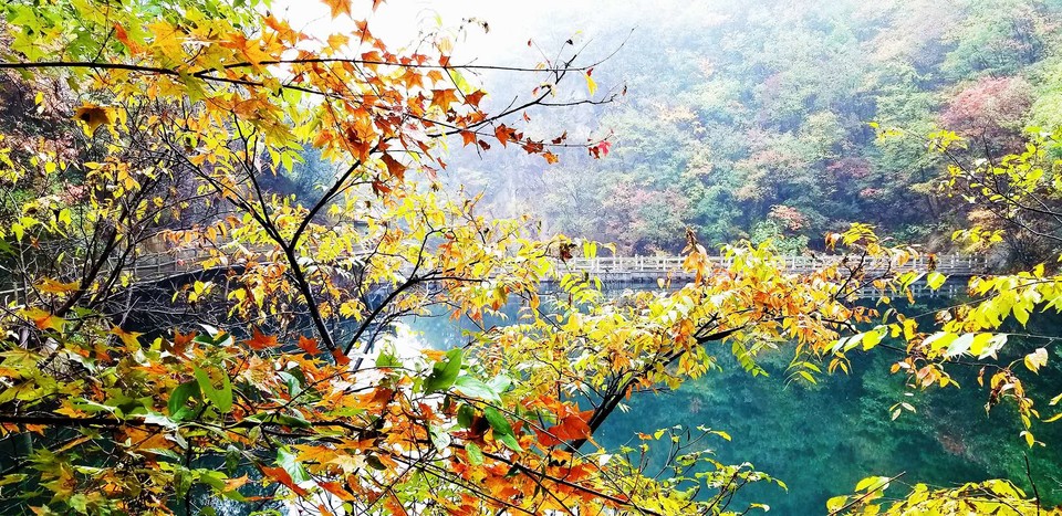 sg-Jxvdb_EQEK_ts7c6KwhPd-asM_kDCkDIG9OI3OwEtTW9m7tF_-kjFbsM_6zwm