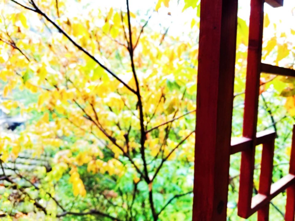 zHpPNkspMIdttFcOoYrnqcimpN3G6CSDcMbDXJ_P65tlGo6GrzSunAnXwZUiMOdc