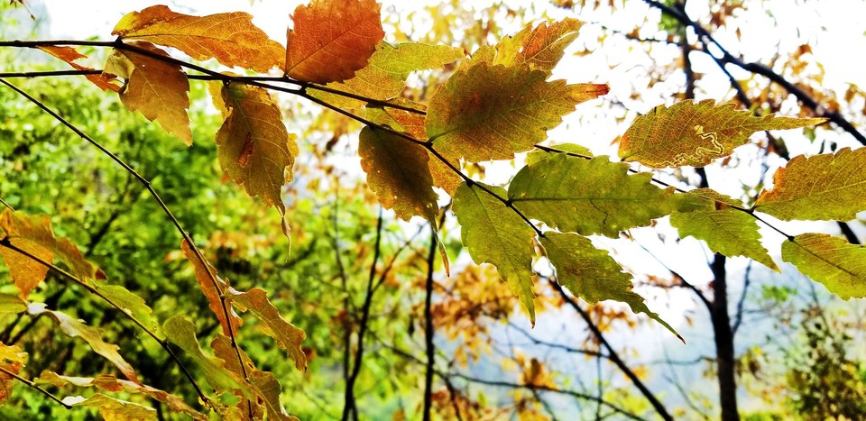 Ihd7j2kHNh0JDawbojMZjl0ackxL7_gx6B-qwA_5XCHwRzRuGSpy9wOPDq1NwxDb