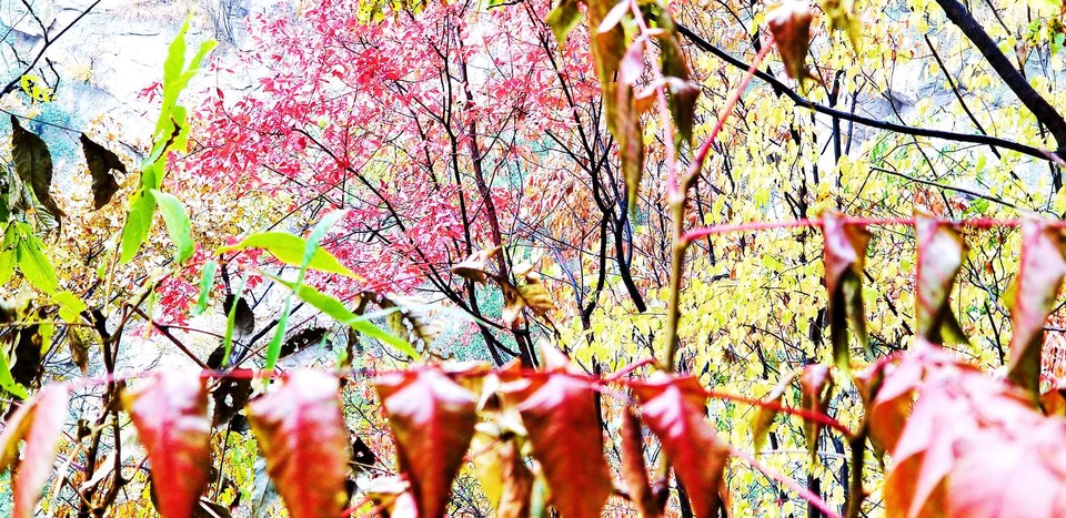 xAkl62M22dV3sWjb02Xb223lk7KexYRyEWYfsMDLYNmgAoAOPhjXHLjVANOJz-z2