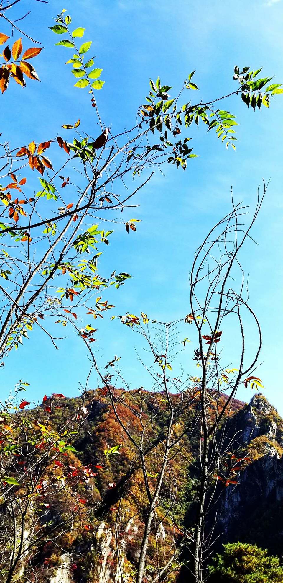 I5LFJiU7USSYseLi5tEqq2dmJA4pXMOfO6xQl19NKR9aKxkJMO8YmXZiUP-hK9h8