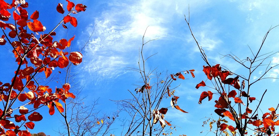 AY0SmbW7Bfp8ntpg2-HXz_KmgDuLA0R_AqJylnh0wH2btvWC_8n866nuR7IjIUIl