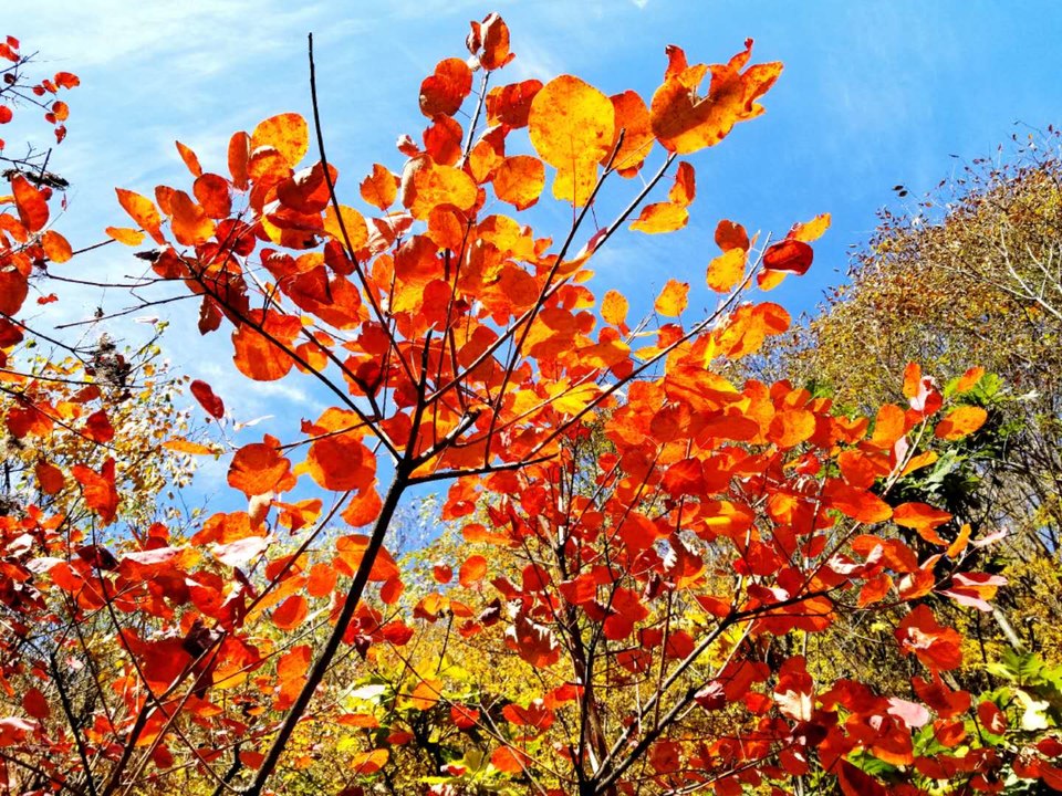 NzmsYWY06s2eAaW9ojY-3JPQdNgTtYIT9mGk6UURB5OfZ5vToqnNCgbHWFKmAWP_