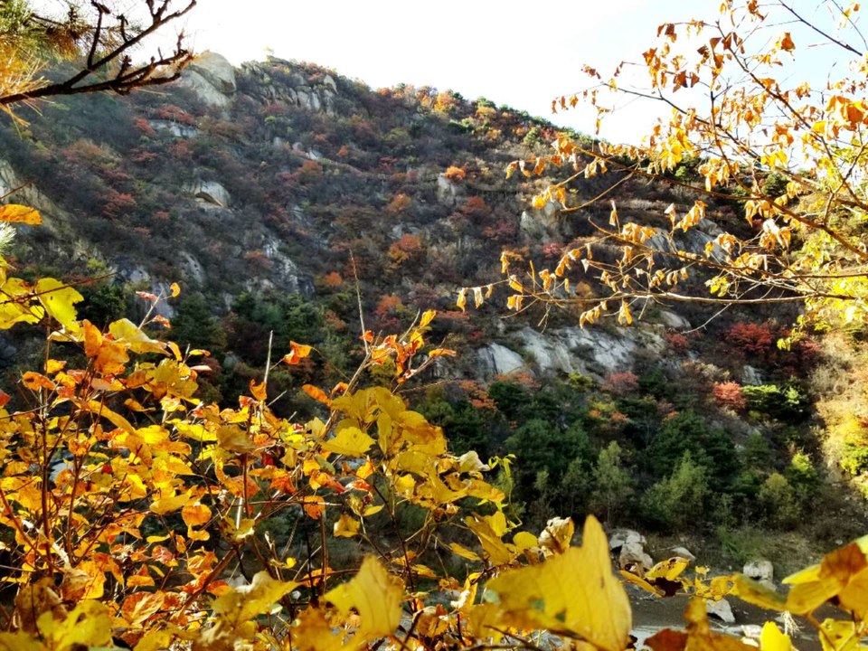 29jVYqvg-tQpiIbTAJIuSUssJZmMczTIUg-iNszQTD3I-ThMtKue5WCn0jZlYCST