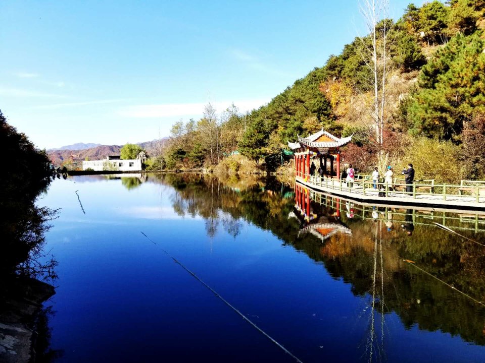 8SG7Dyo9mFSATI7tQufuceh8kD76org65T5EWtnO_hVkBtVEHYNvEL89aoKbUaZm