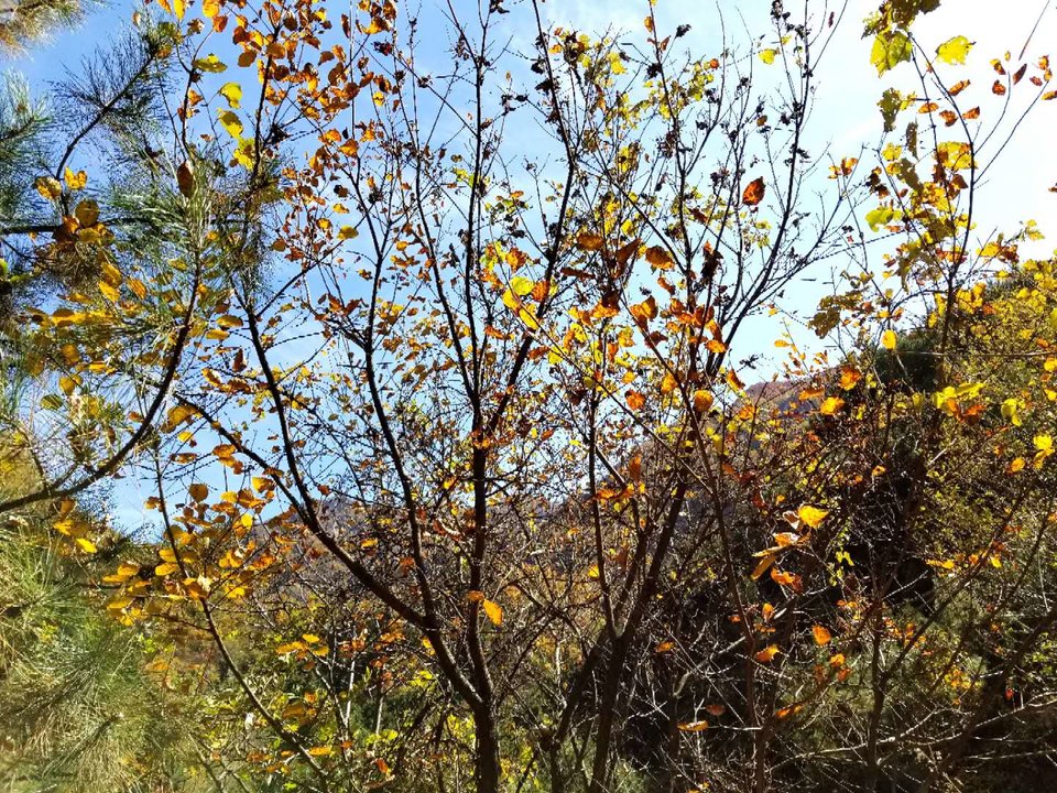 z0hYz1VWfOU_bjlLwpthyR82XJWIO1JXdLJrxagqV4K3vzm8K6XfNOCTF4hRQbxj