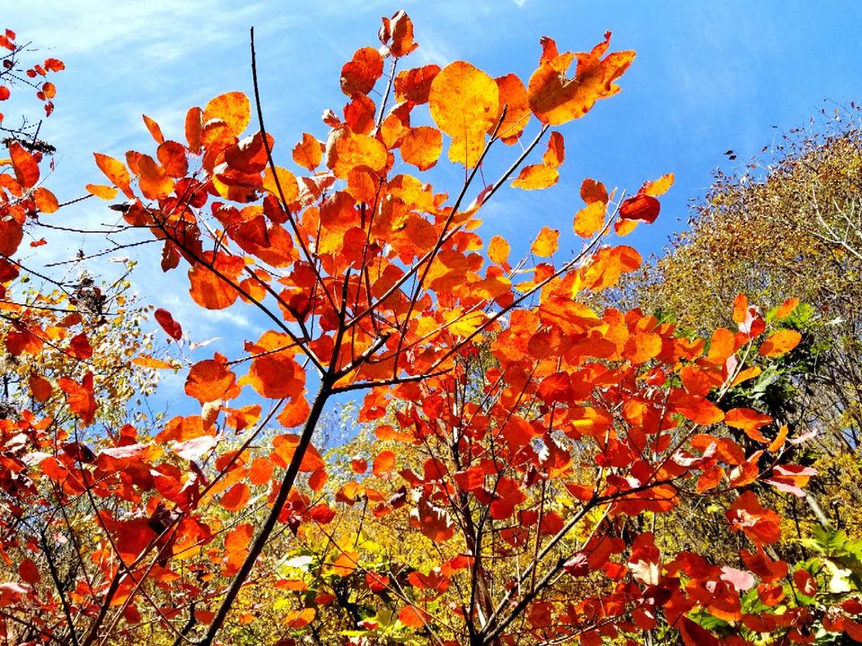 DNwHfOPzJjmC5jWDgCT_IkG1ER41F4kl_72sgvYLzEHOJsGqCyPxAqiWul1zUmDD