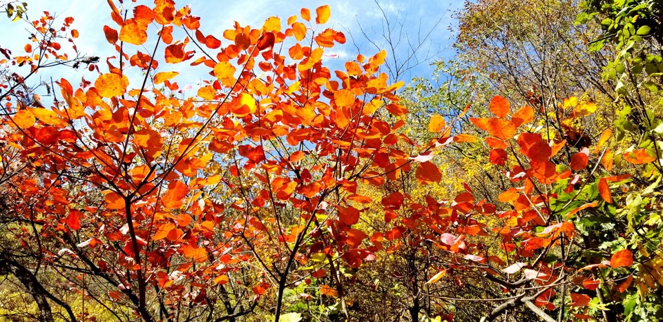 TD3oG4ugy-J-O-EzVMCwYy9X91npOp6lWP3VBq1jileF-Fd2h6ac50g9a7_SX0RQ