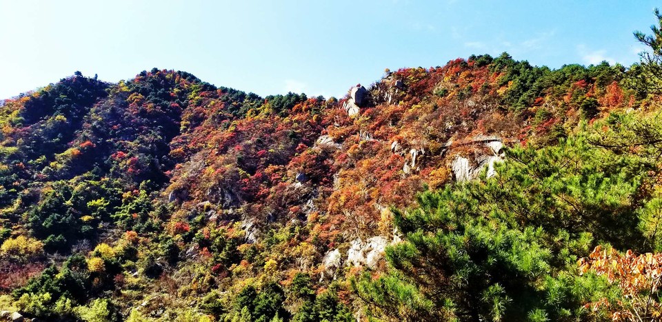 hfGDHdFwV5jiyFYxLWyrAKWK9-UYufnEIMyeMkRgdhtD2GCBNWCN7EjygtCtOLGB