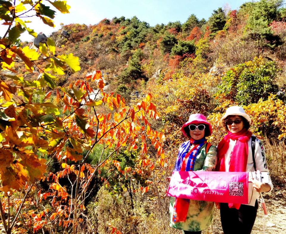 JOr2zZF4TLqJTwxZZEX8R-7NYg1MctN4Dd0u6cIHUdLYQafKnQkoPh_qxnxTkffp