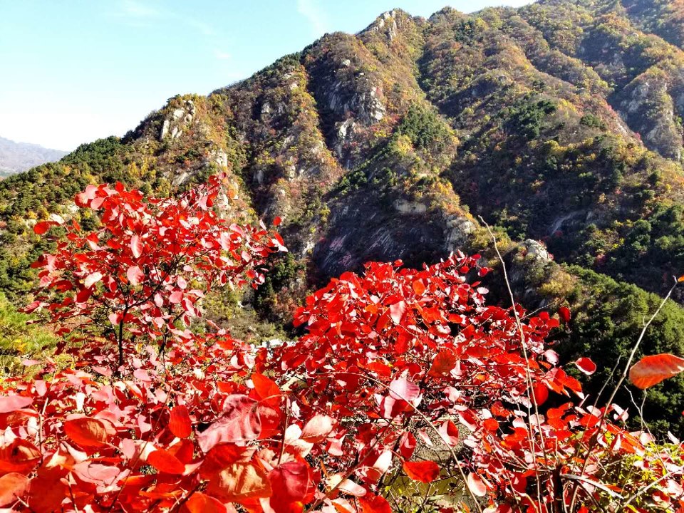 NagpORfiasZ_O0ELocRX99ZYdfb79Rp2b-HDrZOQbYGt7idnqvnGv098pV5B6DXF