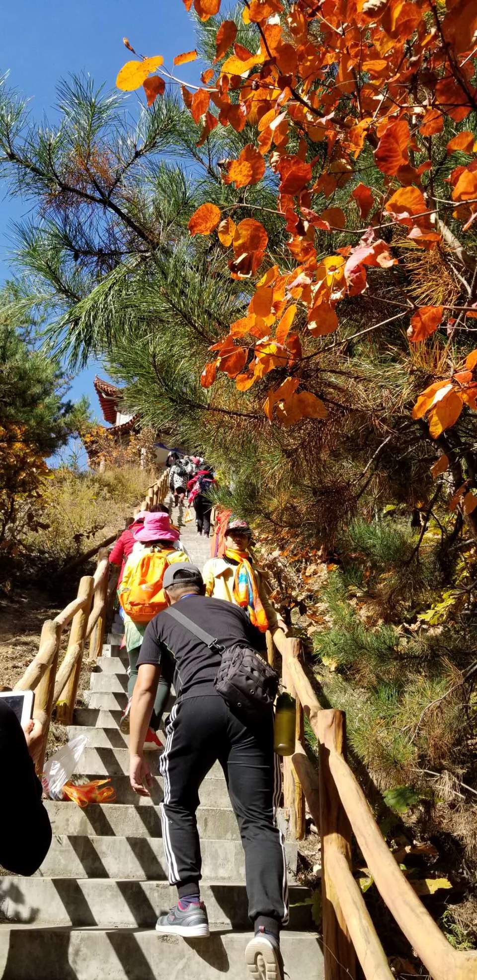 szr6_Nq-zLZQDK-ah0J0lri1i3pTM_lgNK8scxqylLBmYLVObVjZ1S6g_S-a5gN8