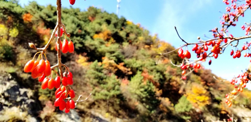 id3IiXHL-C7OP0IDkIvR-8aJkzRzqpwI6ivxctiFV_0MOA63BvHPD5IdZBjELc9-