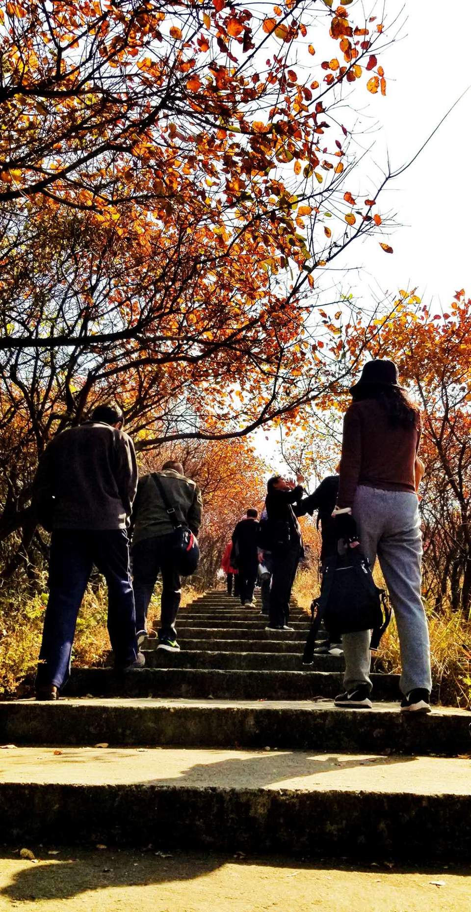 __S1lycU6sozA_GqnaAafI2CiP66wGW029kCdM8oElpc1_uLdyQbrW7CLegNt2E7