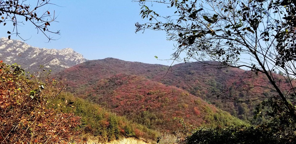 d7GTVRwIQ8h2IzvYMvUIX2Ihf_qY3x5jHryygSmZakosax3PL8Bfe_yYKsw1sGuk