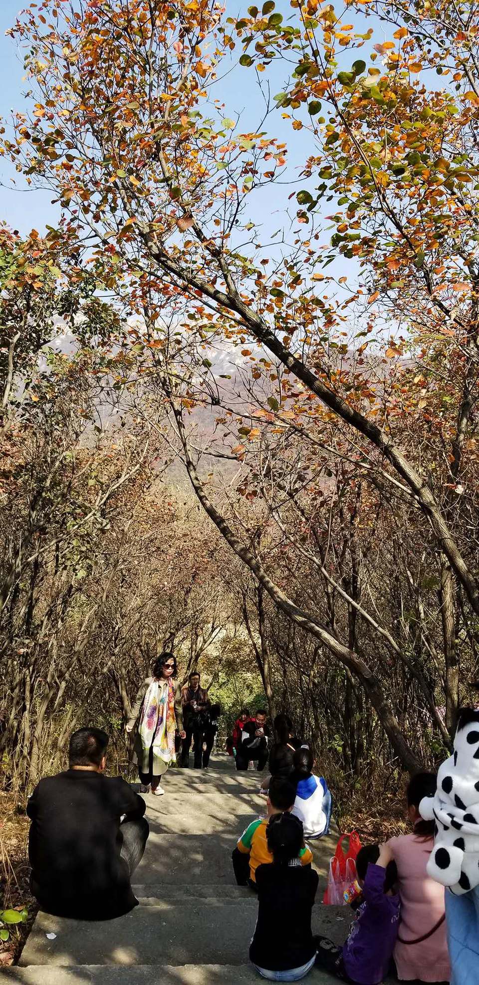 sX4qsdxYvXMcRON6Rax3SwO-UxDo-S83ERorFqc7I2s0VBJLK8pJ7VHPmwcY1zqg