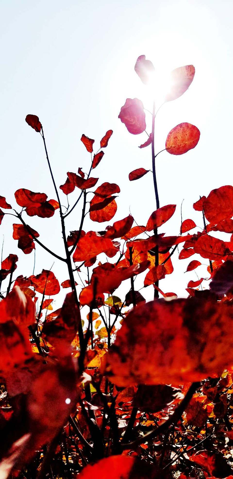 Ww982YK50ZSG7ZbyKk671BlLAeWWf9KE_f_83bPnQqYwehXFfe5Z2FNJaH0p5tU8