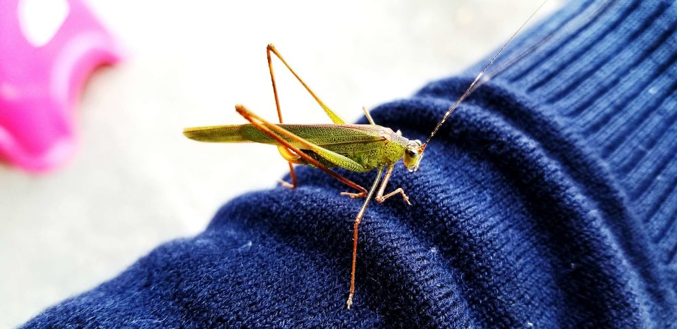 BPDLTl3PnQ2q36SbRG16S_4jhxyi8VhbEgHPmyJ6cDwvICaDjwRBUwjwf3xv7kyR