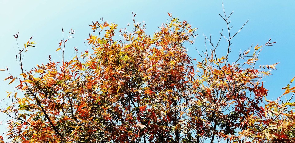 cAAp957S9gu6ZsWCXsPNnZFg3xNce_wJr43wEbm-hBTtipGleweSCZ1vGXrrPfLe