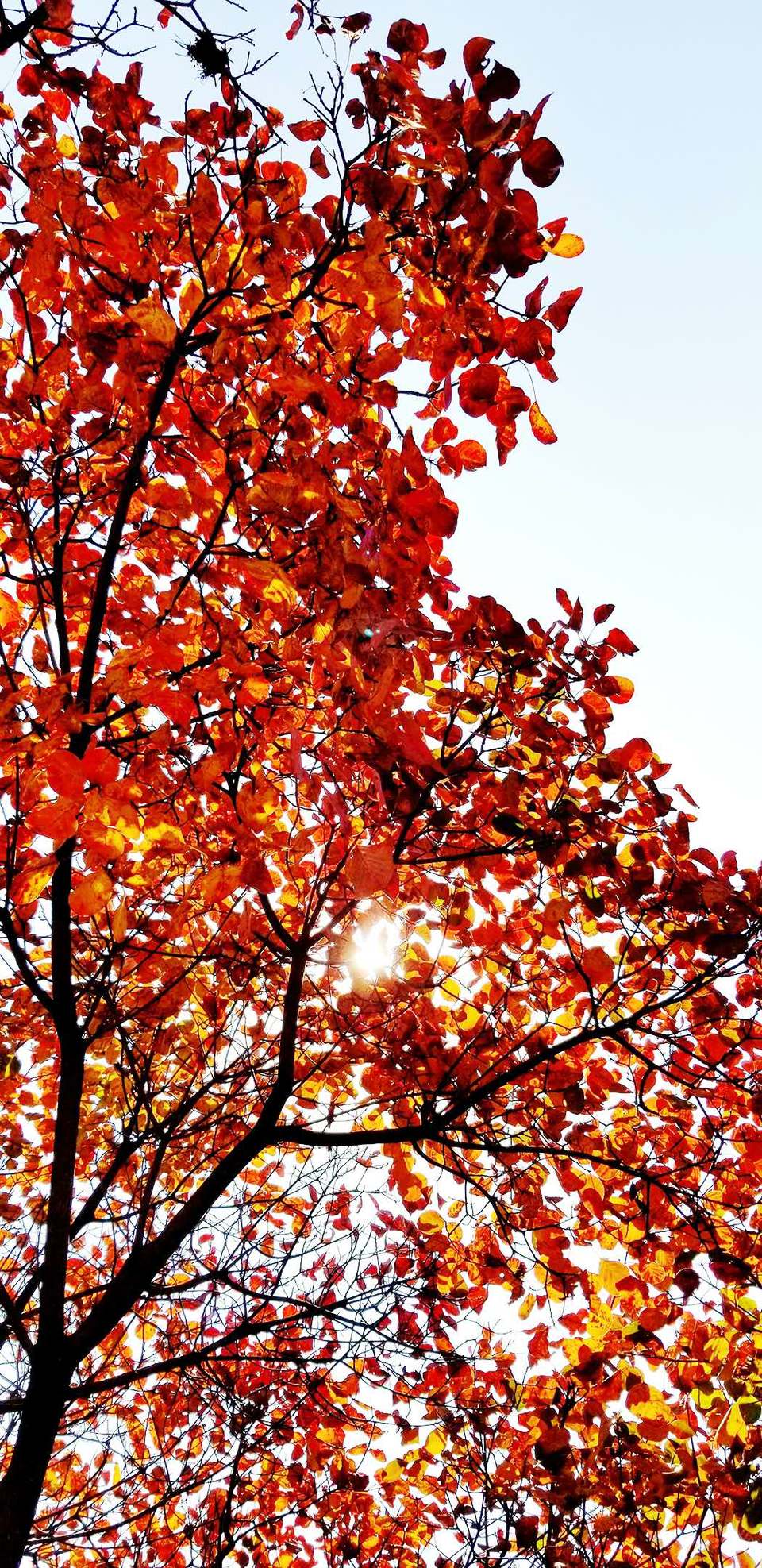 5EMbGZOUJhEvV8COf2ztgYfIuYi4Ifk7m4YV5Sydo40-CPO_iGRFqETulUMkAfcU