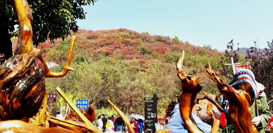 DYj1pPVoZwVsXKJnA4qM_y6687z1jPpwN1wDdLYkSnm5Lt_ljaNyRlFQR9-NS0hm