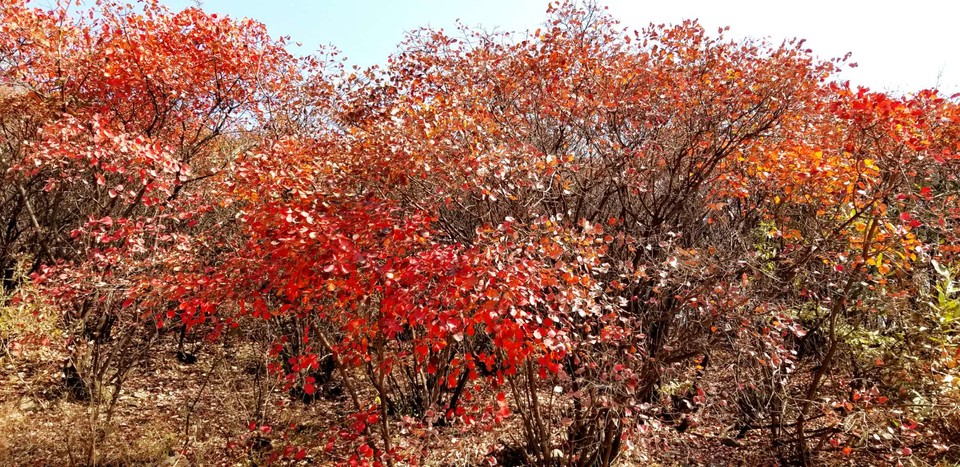 FjHwQ11xKY_P-TDuudtCWapIlxn89jxSaKGBXaejkrcl0eLVspyrkVJlWwoLwCpH