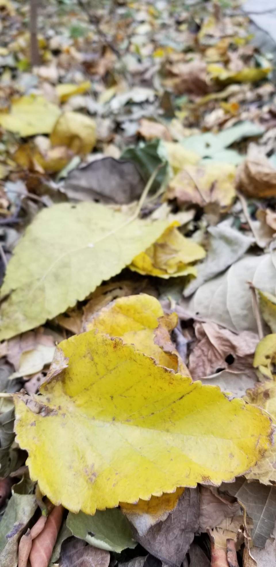 rAWdRKCW3-1YJ8i3alZc6TTQoFYtXt1fqeyS2R9PQ4dkYbGUkOWyHtfljmRlfy_4