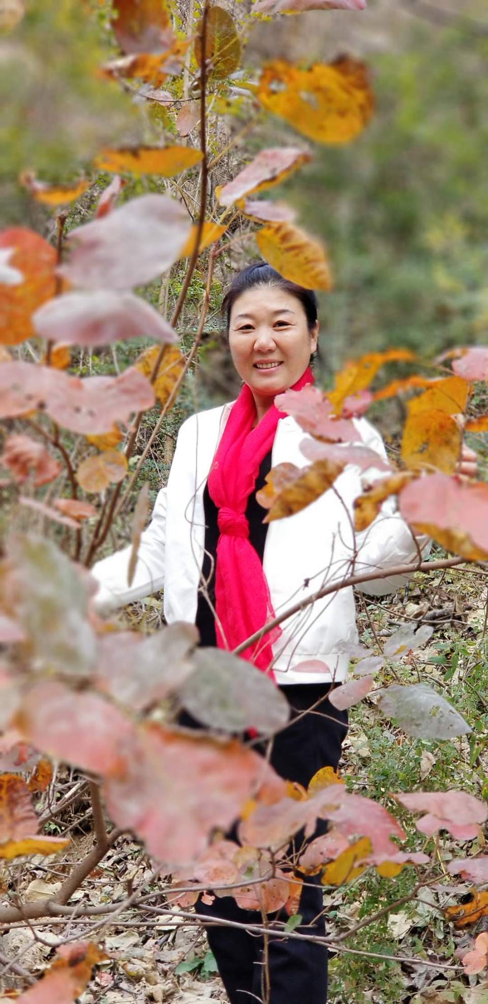 S023DJZpEEi57a76c17OLrYBkC1b6m424FmRmBMTKowIKcTnSTqFDekSbBeiaG-K