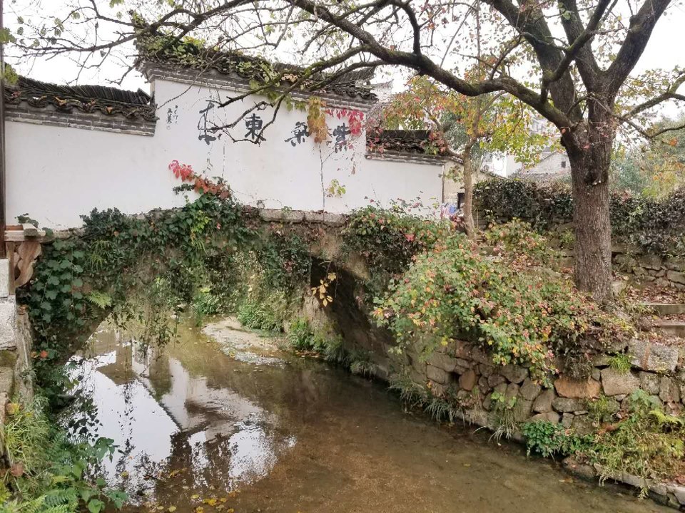 JSW-8Pjw8BLcaM_8PKbTKOngkAoM_141LMFHHwBEB9Tcatsnvv40BgDmNy9VuOCz