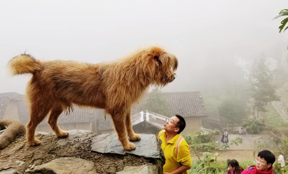 zPqCRq0divQeenYRGD8b51V6UWdh3HF3Et5fKfxYCfzauezkXGo9bQIyLqdTL9bw