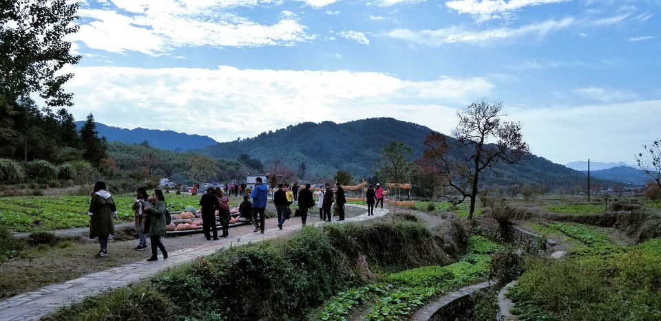 bXi55TRG2DNqQpQnhyjx1eE_vHzo0mILyueKv8Tl0AJCLk7ecJdO6VxfodrmTTvX