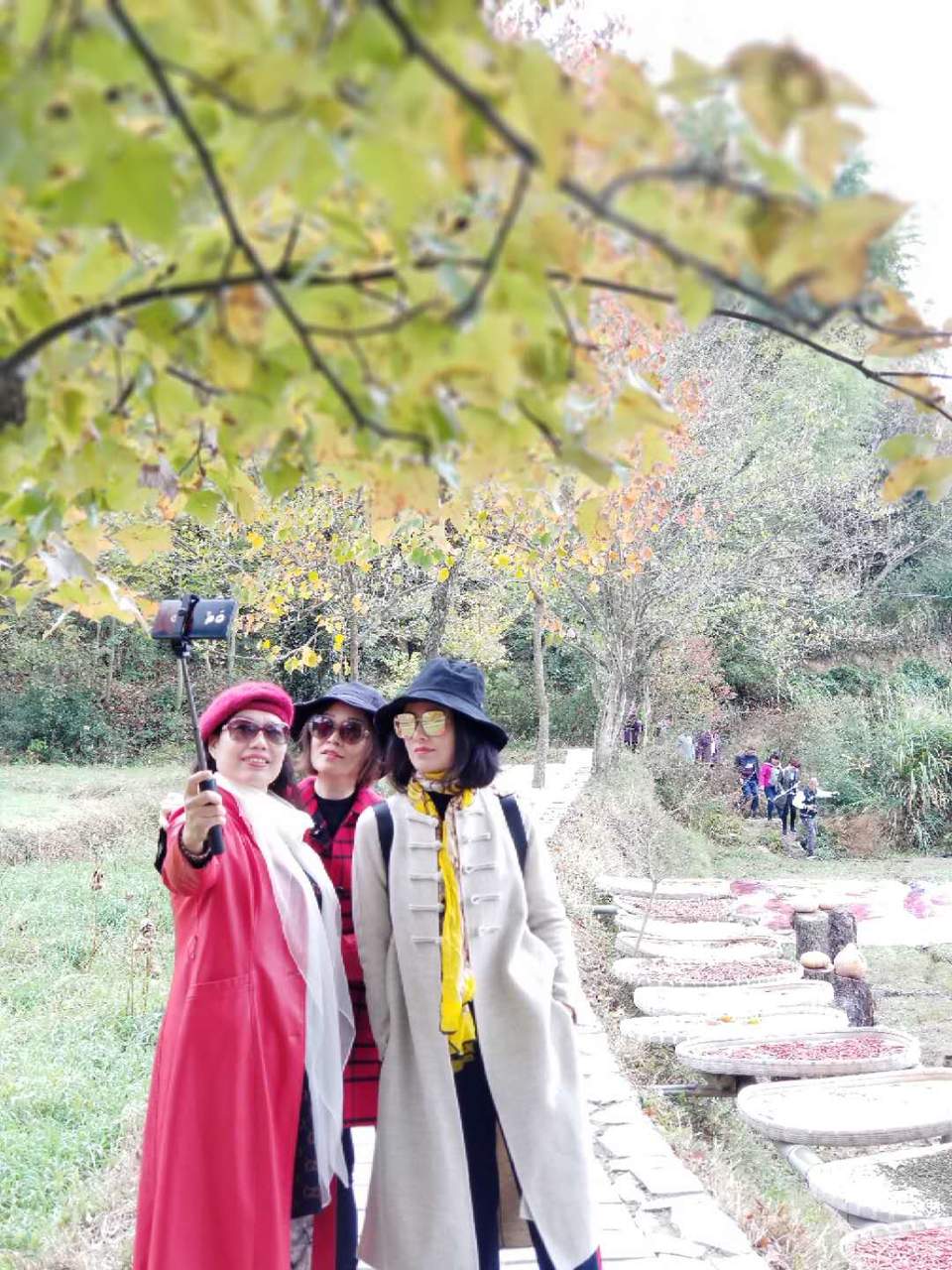 yz8a60SlfsJVF2NgyHTscZaDCRWim3bSytVlI0pMe3Rl1pNJ1GpHy3jvn7toeymK