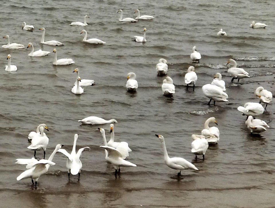 72j59kH0aNB-FLdcyQiZerBxcmW8uBNN0bYD5v_NJmAqdka0zDU-3qRmYcSDrJGK