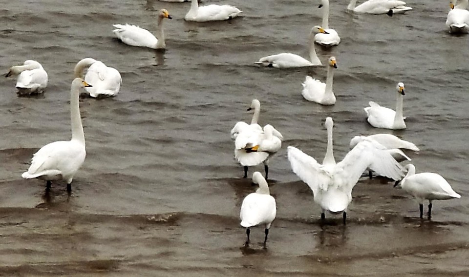 KF-MDNHvKG3cqO_jOVw35hXVH53v32v22ce1QmHq3Zl4duzhwRZ5sYkFip6NBH-k