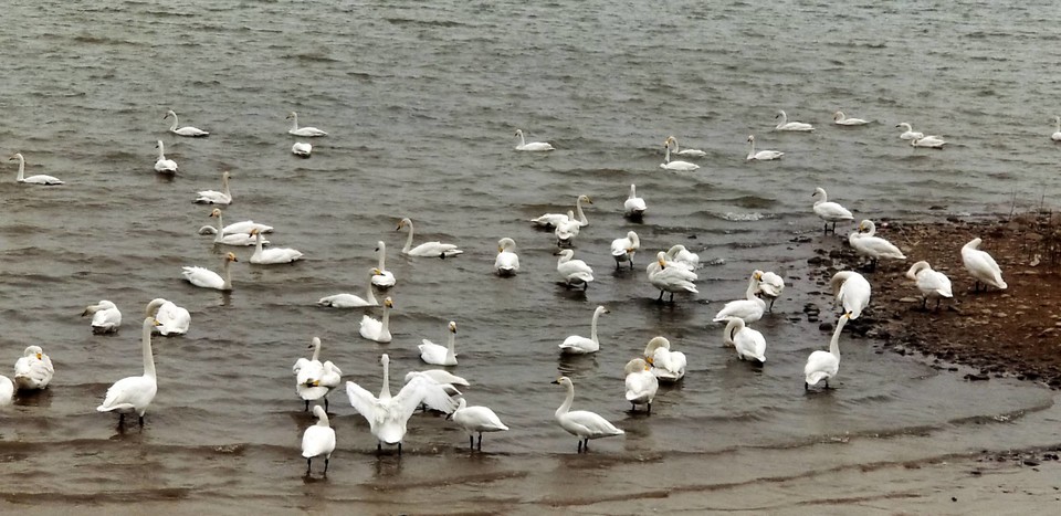 4ewgpzFHSbrQtMZ6FPnmYjI49VgTbuMrwX1OBGWvfrtXCRhl9syS5quW0j9Vm-3h