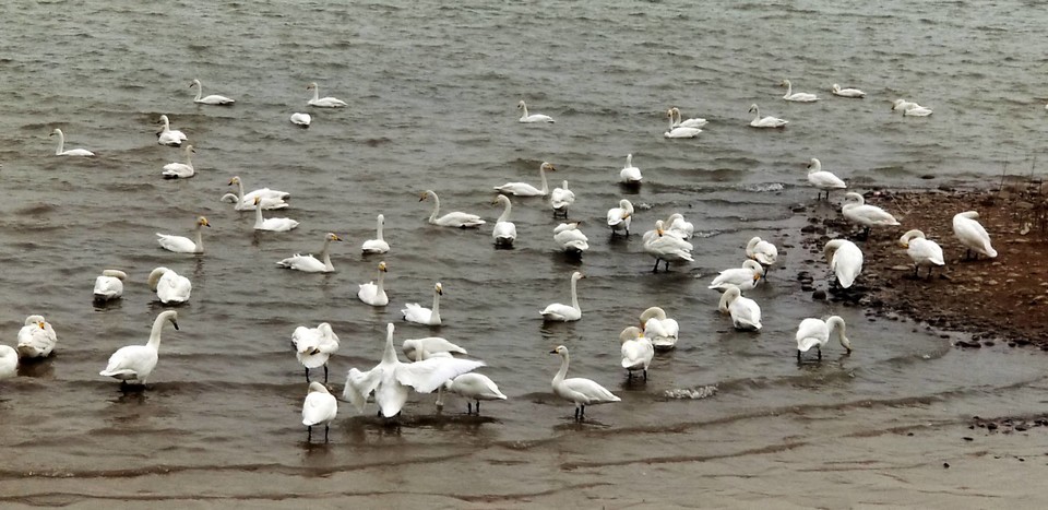 NwiVQtkdcDIPeT63Diw1IW8O_Xo9TFl9tKCAV9y5v8duSnPscD8yeqM_nvYGyCl5