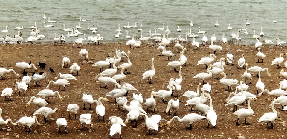 hfPZPf7TQluYJ_JOkJB4b-5ym0lDPQGKFzbqzHKl4vB2-1MW51BzE4waKx_wBHqg