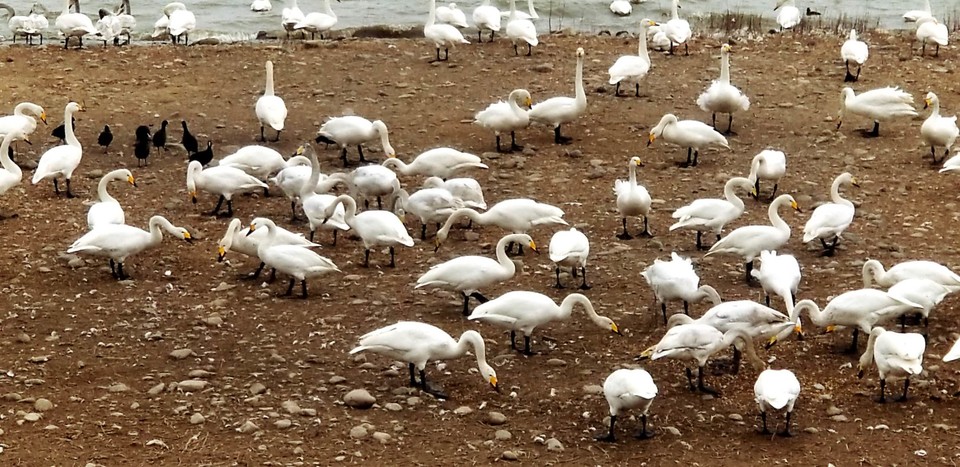 y4rjVDNwaaw94DaFbaAar3QvI9ivrnxyh1-oVtNmz3CTMj2RwaAP3g5alFJ1LcJf