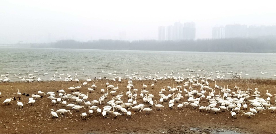 AvgfSliPkwUww0iYuvMWXJMYHSceH9_oQQj8a_PgMVGkrxEKrRrHKRYqGeplGP10