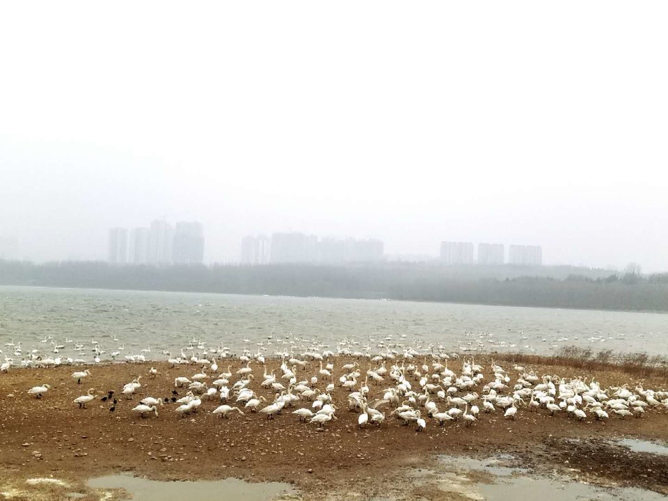 _IGscEAGxAF99_1nbHTU_YlVAiluxhhmoubQUe64d9yhKvqd-KPcH6sb5VN0j_t-