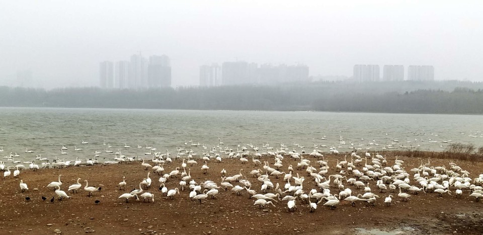 d-fa0vCfLCDjb_8US3IIY_o49PheS8FbY2SwjaQvqeUinuku-dcZKtPYyoRVogR9