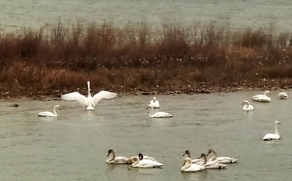 S8fdxNJq6bJKqMFA2TKzrE9ccD_Uymb778GqU03ufV-tJ293A3qxKsh75BSNhzgQ