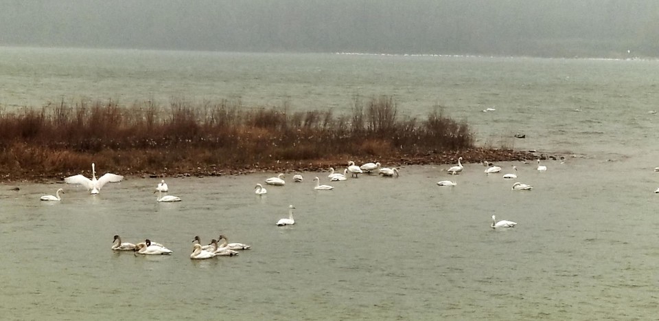 Kd-7OIbFB8HOdwTMwHcB8uNK-IvBR25e9oFS2l6DR2JTLmYmTtzT7VfoX_5tdQDa