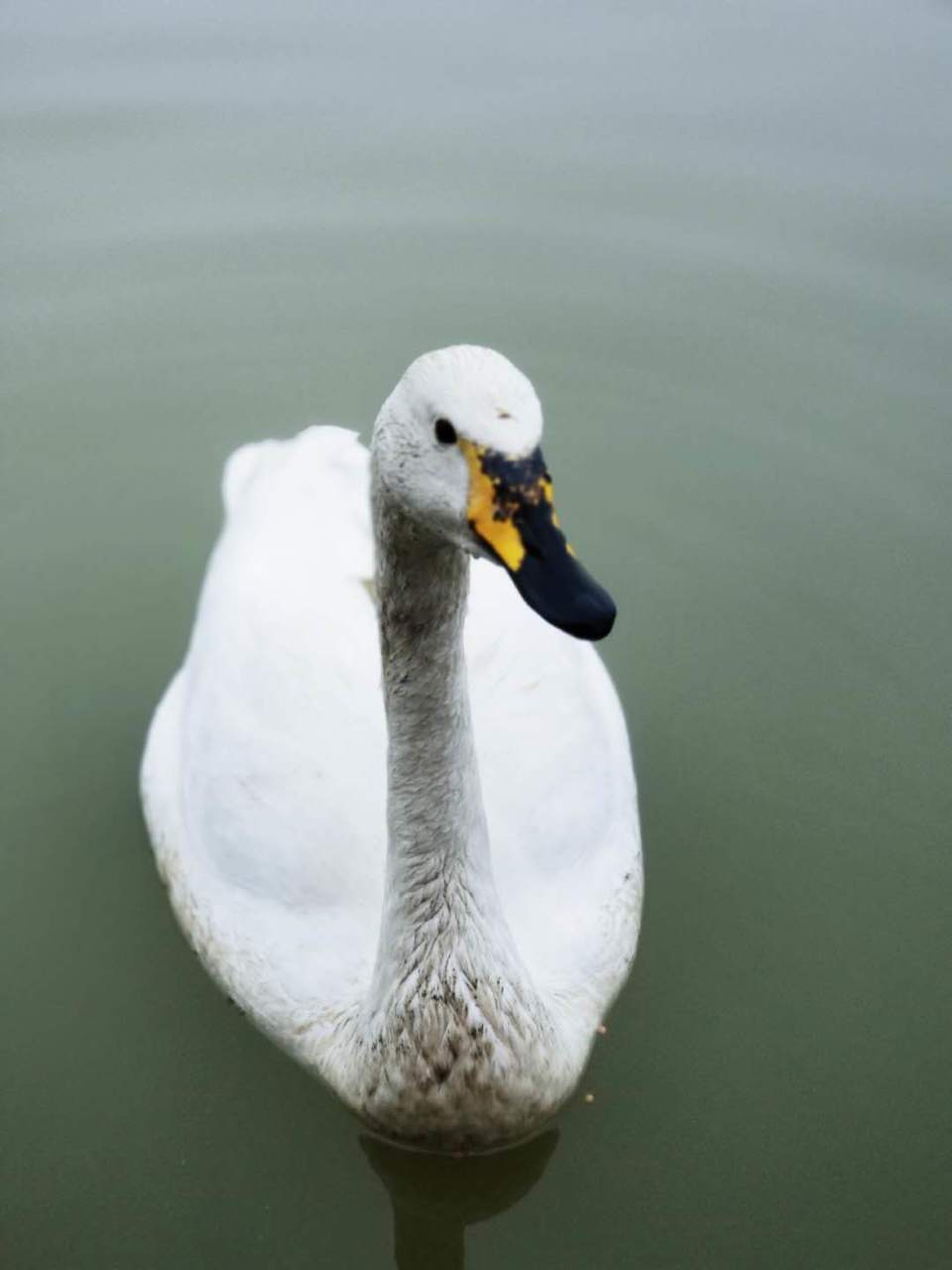 JYzGwmywiRtnF2E7WlPXYB0SjFulSL2PpFW5bRowEufZdaxbn26fFHqqB9Cjyp2s